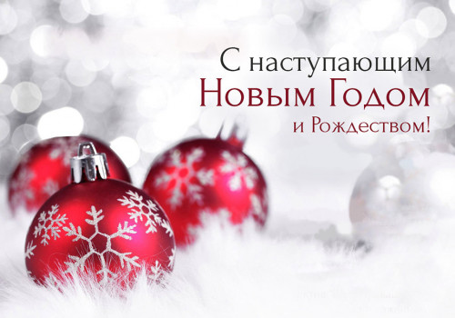 С наступающим Новым годом! 