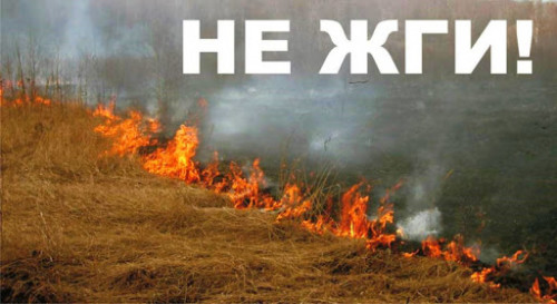Внимание! Палы травы.