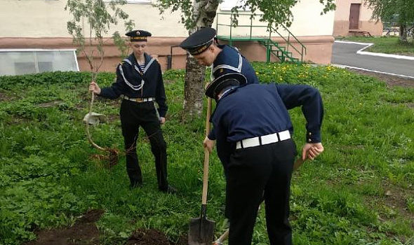 Посадка деревьев и кустарников